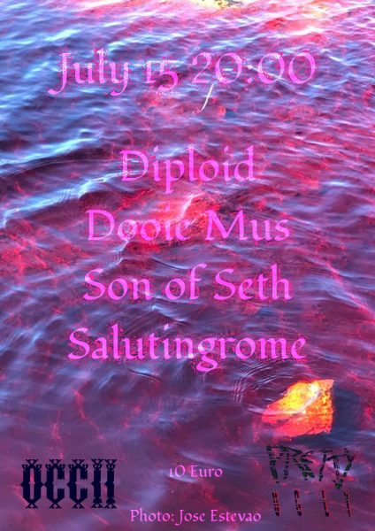 pink and purple shining water