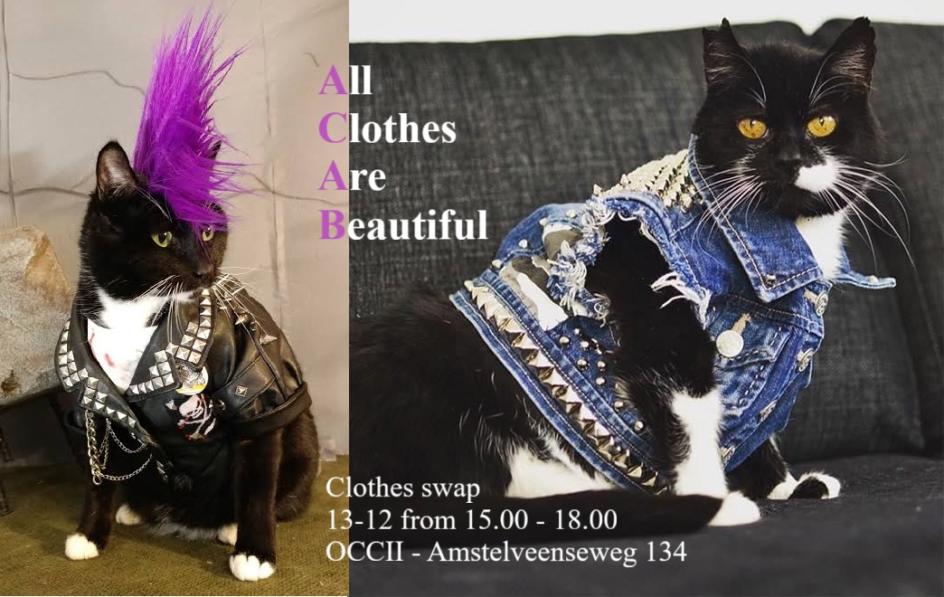 Clothes Swap "All Community Access Boutique"