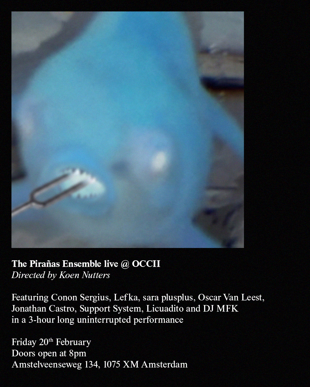 The Pirañas Ensemble - directed by Koen Nutters